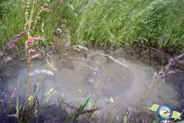 030 Elbhochwasser Juni2013
