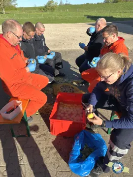 002 DV Uebung FF SGElbmarsch 26042025